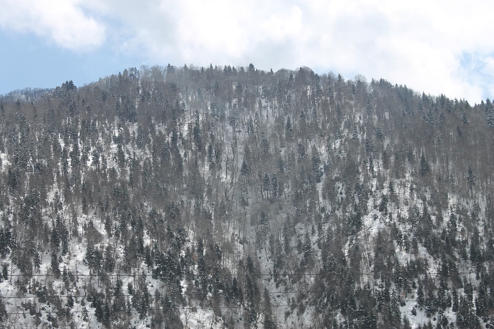 Kaspia Yeddi Gozel Hotel