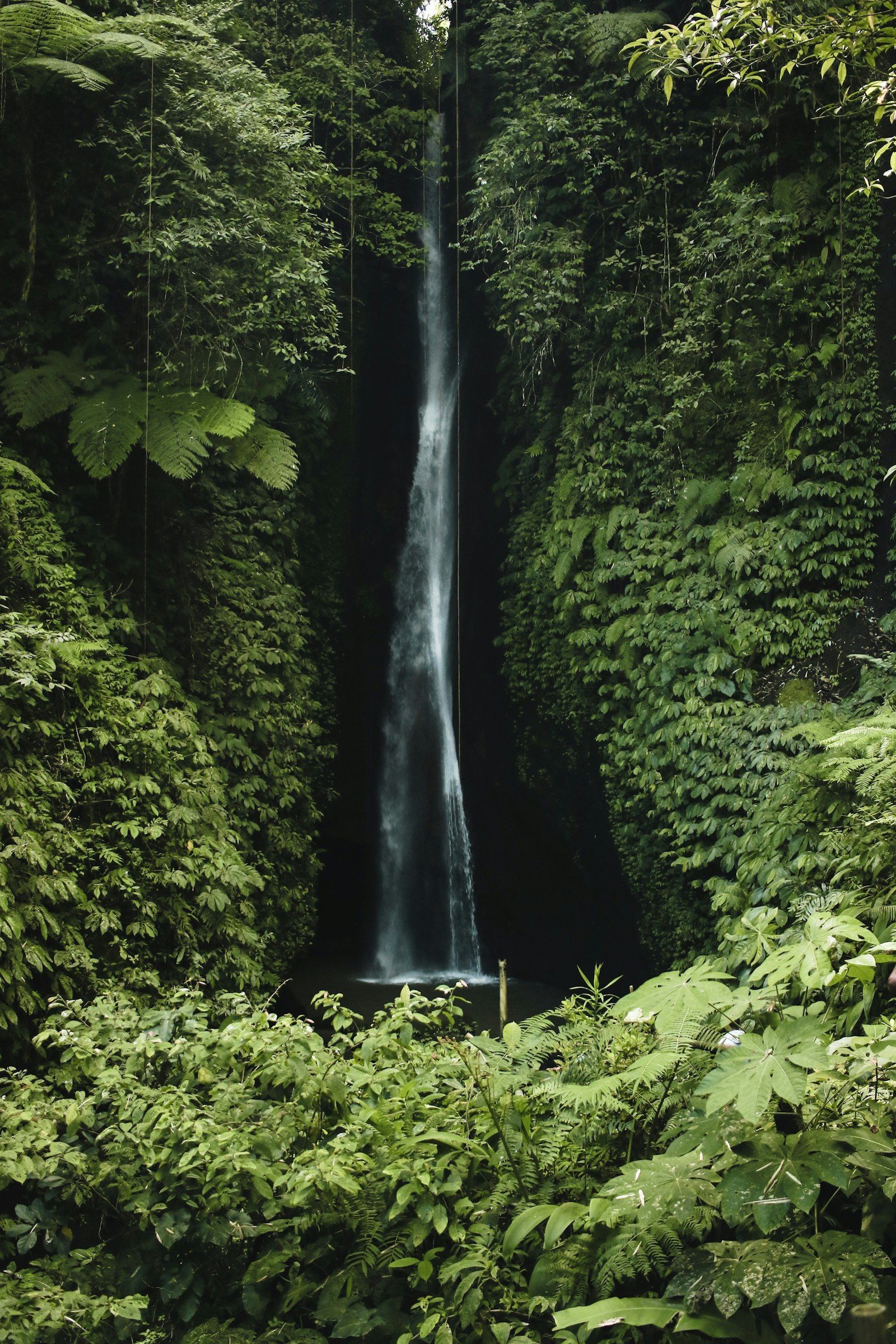 The Mesare Resort Nusa Penida