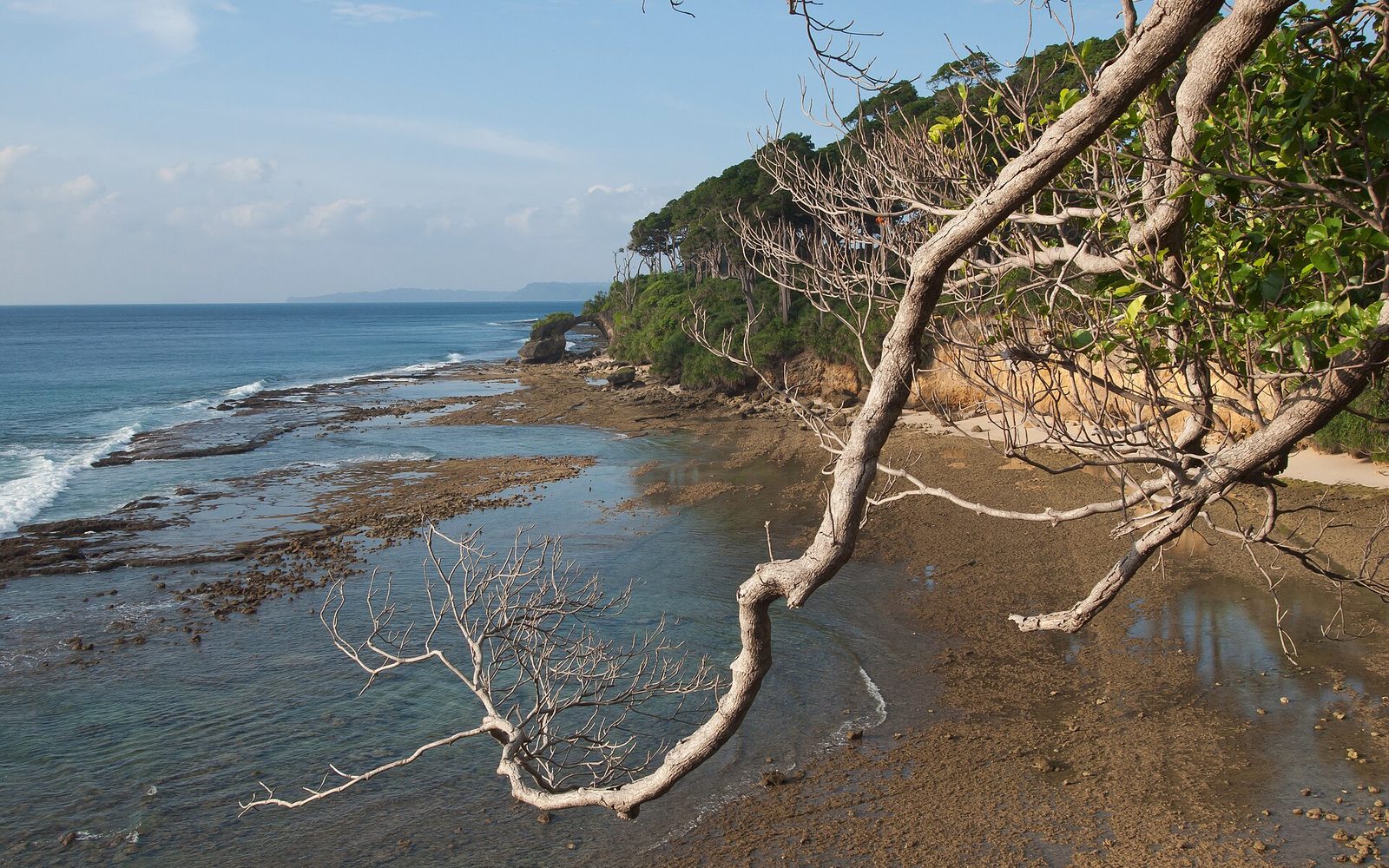 Neil Island's Bharatpur Beach coastline