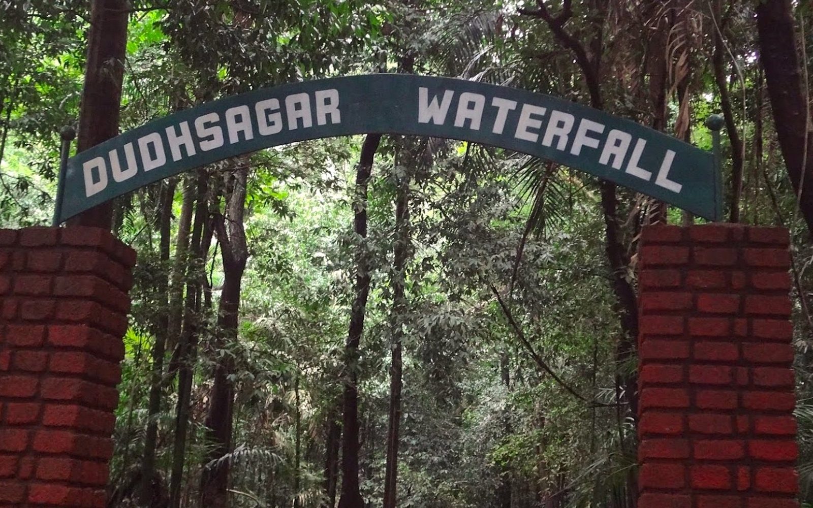 Dudhsagar waterfall in the Goan ghats — Goa Beyond the Beach — Monsoon Waterfalls & Hinterland