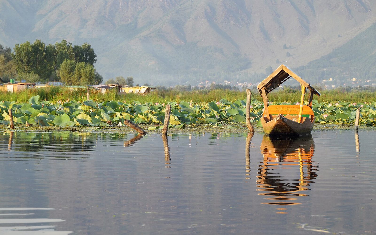 Shikara boats on Dal Lake, Srinagar — Kashmir Valley Honeymoon — Srinagar, Gulmarg & Pahalgam