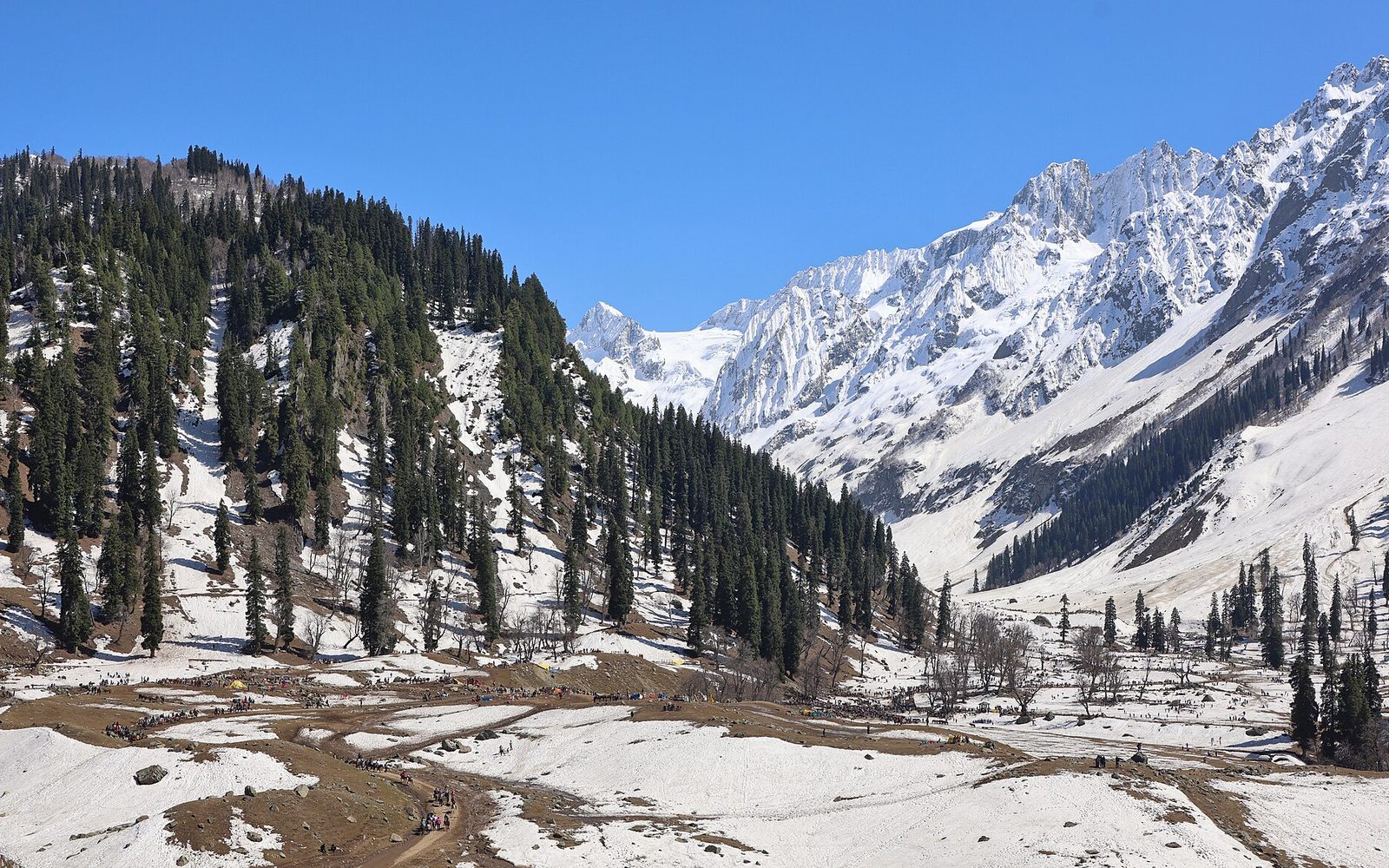 Alpine meadows and peaks at Sonmarg — Kashmir Alpine Adventure — Meadows, Trout & Sonmarg Trails