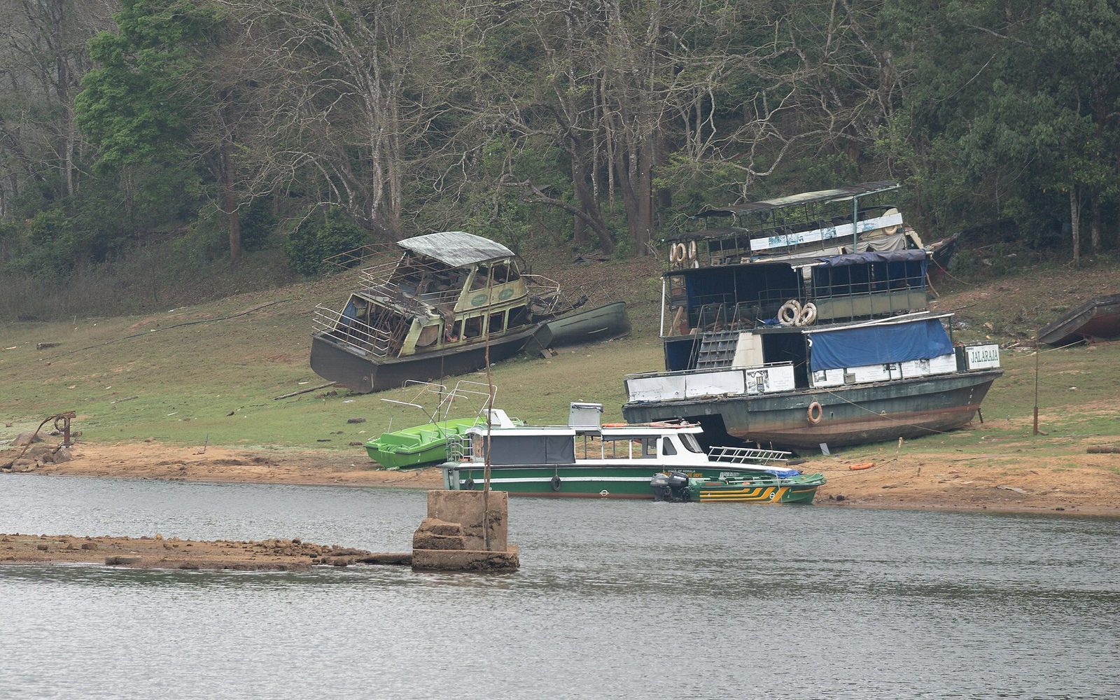 Boat safari on Periyar Lake in Thekkady