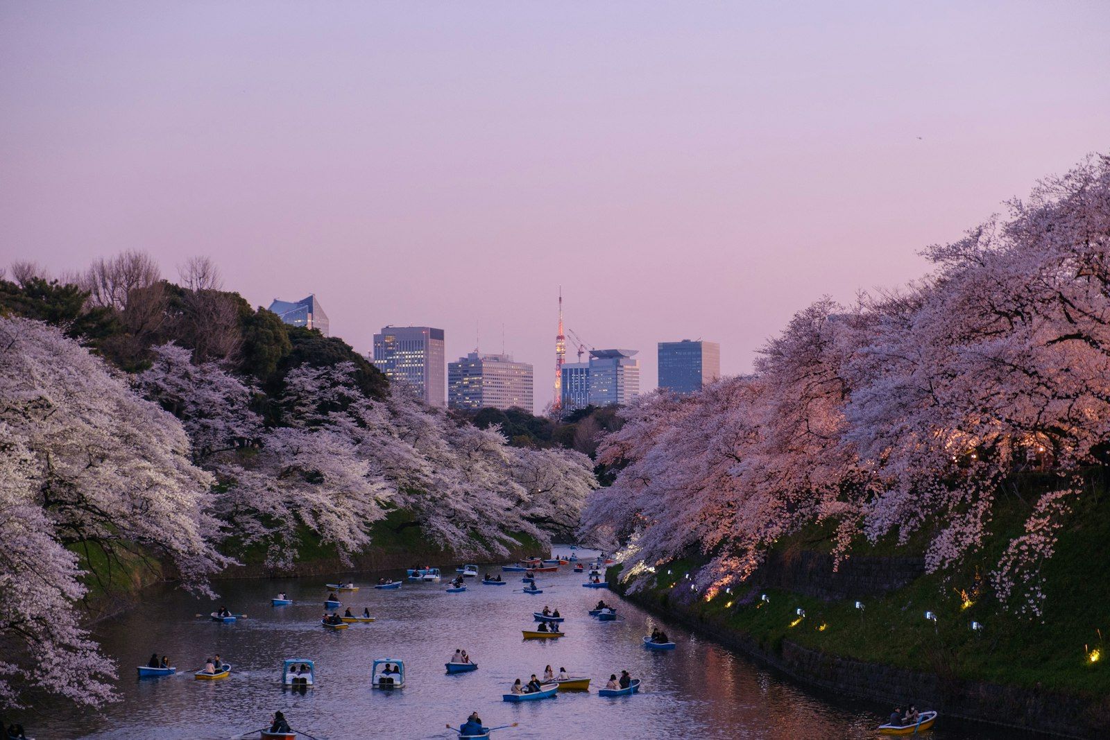 The Ritz-Carlton, Kyoto